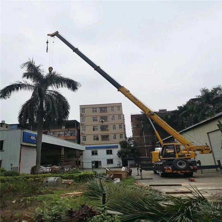 高明树木移栽装卸